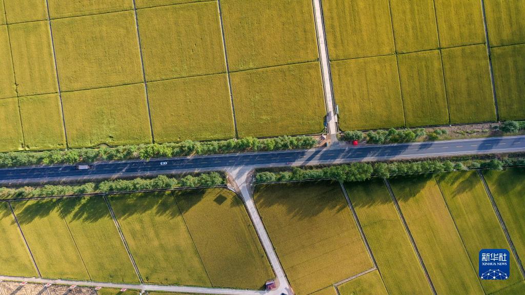 永州同城跑胡子
